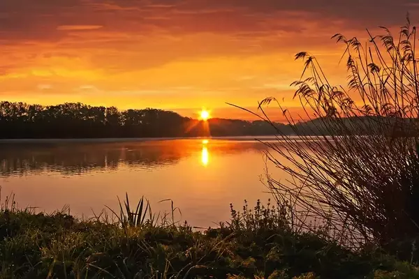 Leveraging Nature's Wisdom for Successful Spring Fishing