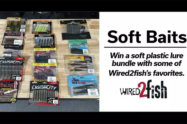 Opportunity to Win a Soft Plastic Lure Package