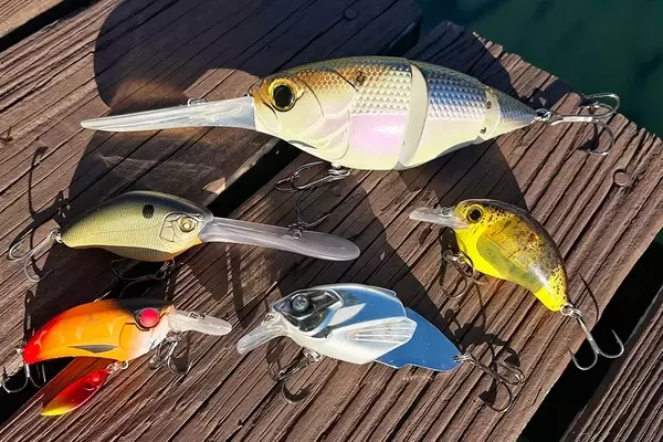 Innovations in Crankbaits: A Look at the Latest Fishing Lures