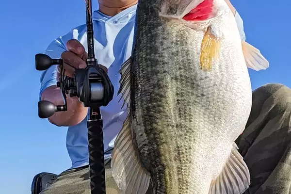 Texas Angler Reels in Another Massive Bass
