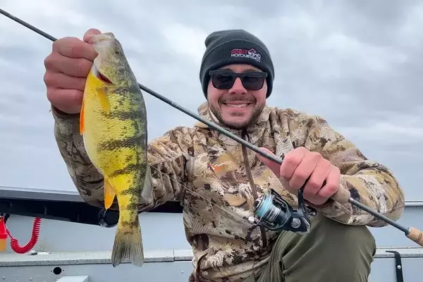Shimano Compre Lite Series: A New Era for Panfish Angling
