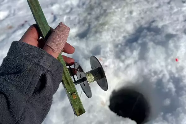 Angler Catches Enormous Muskie While Ice Fishing in Vermont