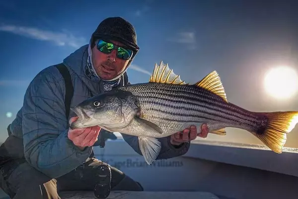 Mastering Early Spring Striped Bass Fishing