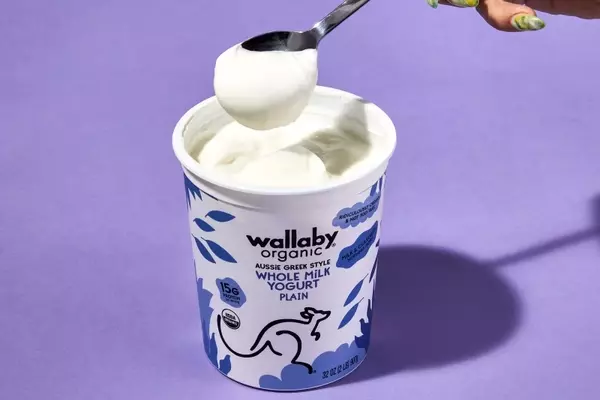 The Ultimate Guide to Greek Yogurt: Unveiling the Best Brands
