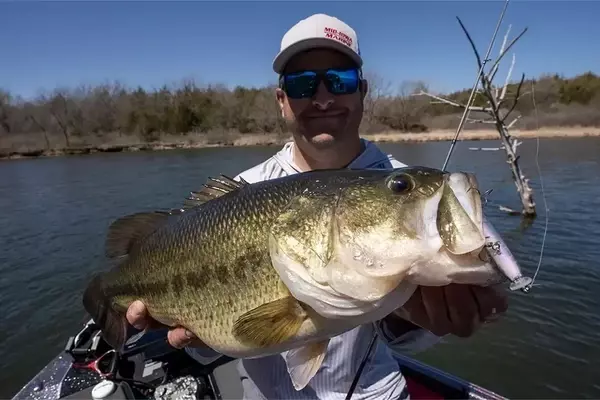 Mastering Jerkbait Techniques for Prespawn Bass on Rocky Structures