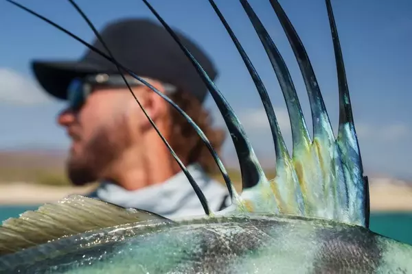 Mastering the IGFA Grand Slam Challenge: A Guide to Top Fishing Destinations