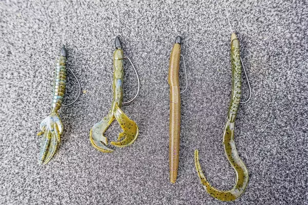 Mastering the Texas Rig: A Comprehensive Guide for Bass Anglers
