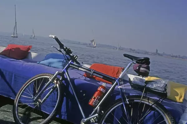 My First Mountain Bike: A Journey with the 1987 Raleigh Elkhorn