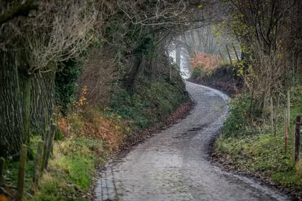 A Cyclist's Ordeal: Conquering the Tour of Flanders with a Relentless GPS