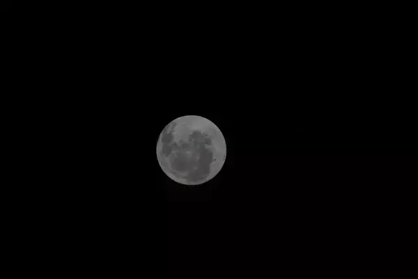 Artemis II Astronauts Uncover New Lunar Insights Beyond Satellite Capabilities