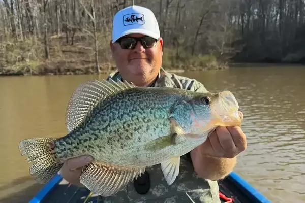 Angler's Unbelievable Crappie Catch: Two Four-Pounders in Two Months