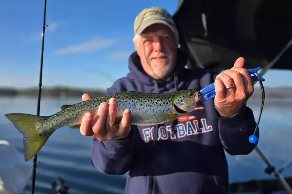 Mastering Early Season Landlocked Salmon Fishing in New England