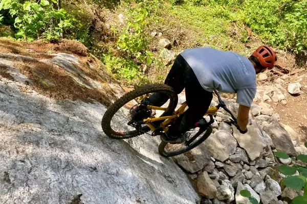 Owlhead Mountain Bike Park Expands, Solidifying Sicamous as a Premier Cycling Destination