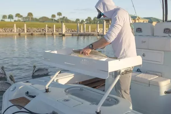 Essential Fishing Gear for Optimal Fish Processing