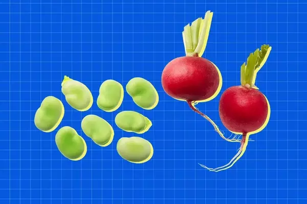 Spring's Bounty: Essential Mediterranean Diet Foods for April