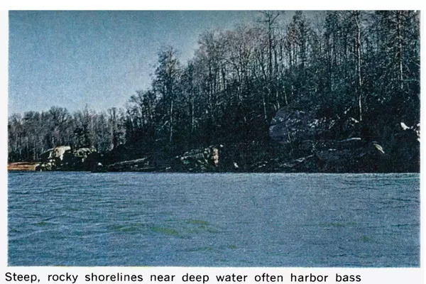 Mastering Early Spring Bass Fishing: Techniques and Insights