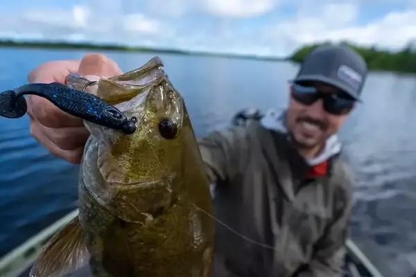 Spring Swimbait Tactics: A Guide to Locating Smallmouth Bass