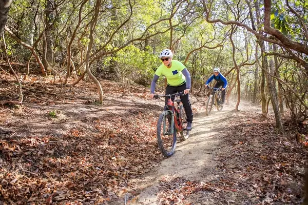 Fairview Community Forest Unveils New Mountain Bike Trails and Educational Programs