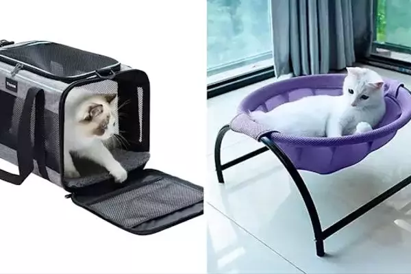 75 Clever Products That Are Game-Changers for Cat Owners