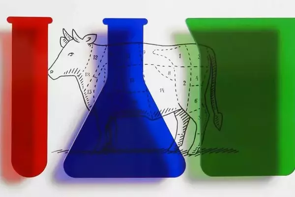 Cell-Cultivated Delicacies: The Future of Fine Dining