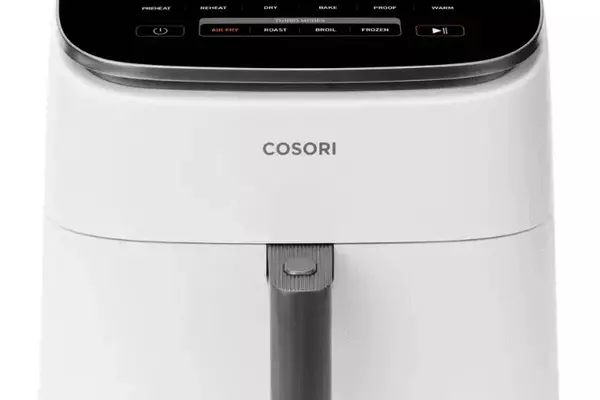 The Ultimate Guide to Air Fryers: Achieving Culinary Perfection