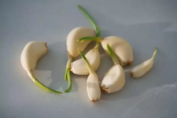 Mastering Garlic Preservation: Essential Storage Techniques for Optimal Flavor and Health Benefits