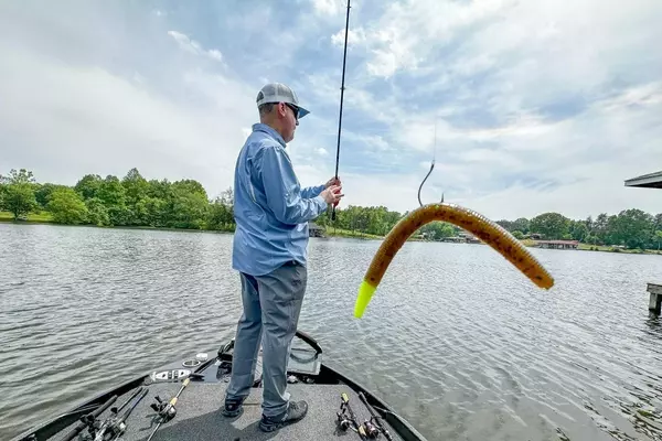 Mastering the Wacky Rig: A Comprehensive Guide to Bass Fishing Success
