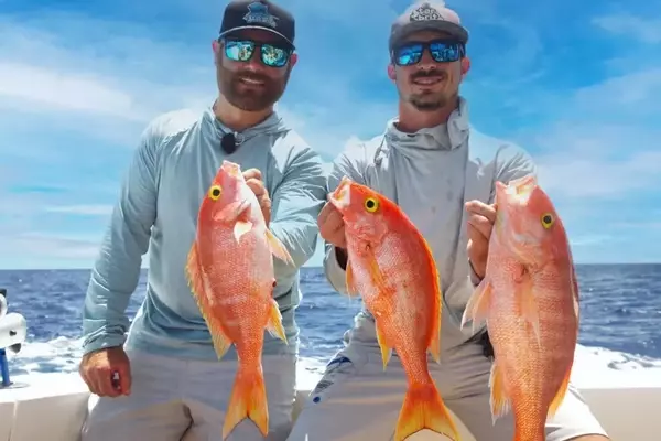 Mastering Deep-Sea Fishing: Techniques for Abundant Catches