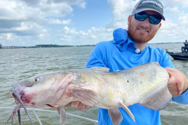 Hot Dogs: The Unexpected Secret to Successful Channel Catfish Fishing