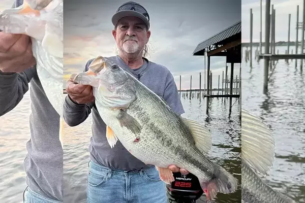 Louisiana Angler Lands and Releases Record-Sized Bass