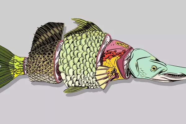 Affordable Summer Fishing Adventures Across the US
