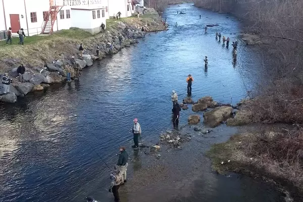 Connecticut Angler Catches Record-Breaking Rainbow Trout