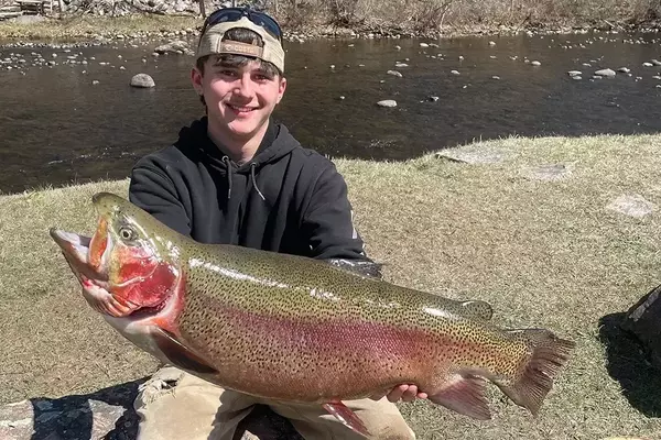 Connecticut Angler Sets New State Record with Massive Rainbow Trout Catch
