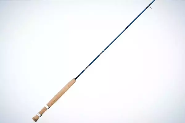 The Ultimate Guide to Fly Fishing for Carp: Techniques and Tackle