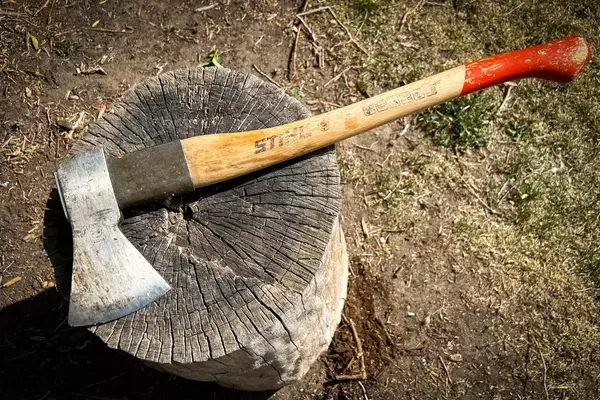 STIHL Pro Universal Forestry Axe: A Decade of Dependable Outdoor Performance