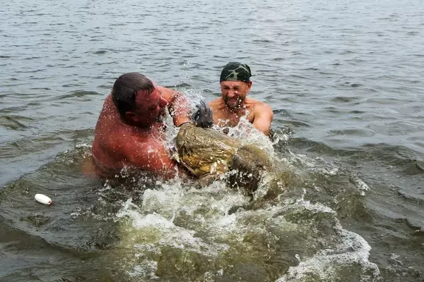 Catfish Noodling: An Adventurous Guide to Hand Fishing