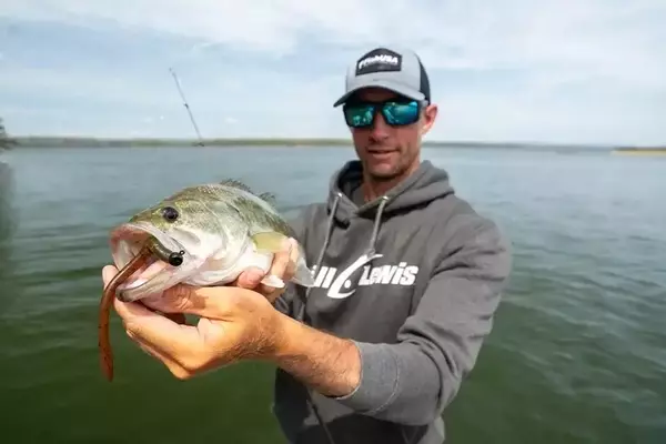 Mastering Spring Bass Fishing with the Shakey Head Technique