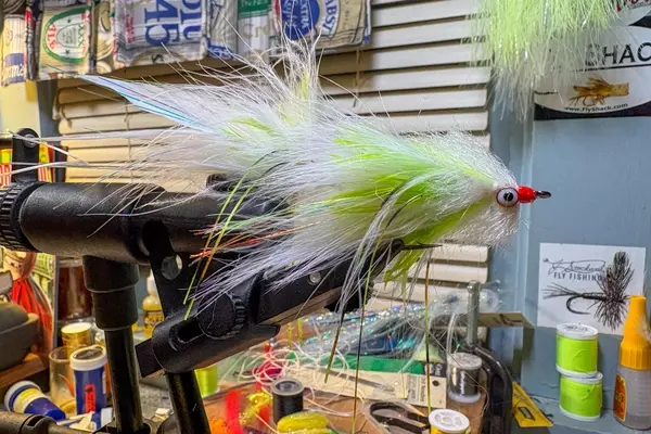 Mastering Large River Trout Fishing with Streamers