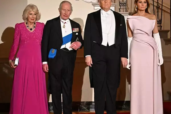 Melania Trump's White House State Dinner Attire
