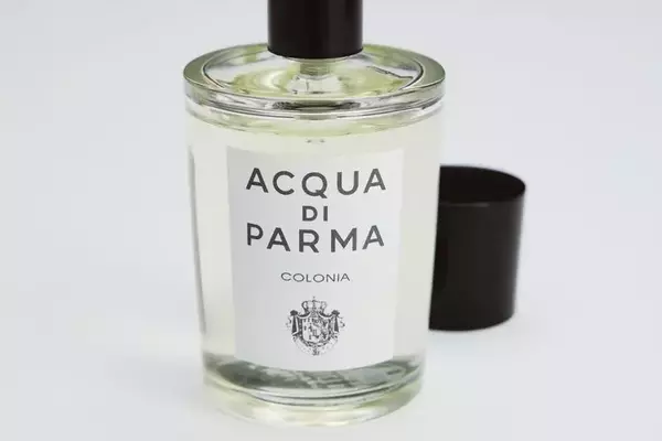 The Definitive Guide to Professional Fragrances for the Office