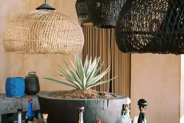 Rosewood Mandarina: A Culinary Journey in Riviera Nayarit
