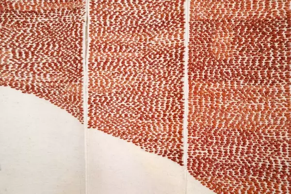 Moroccan Artist Amina Agueznay to Debut Nation's First Venice Biennale Pavilion