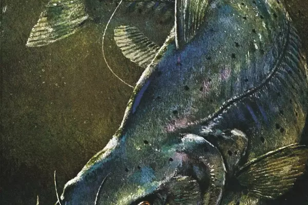 Comprehensive Guide to Catfishing: Techniques, Baits, and Species