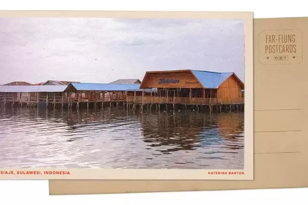 Mangrove Conservation: A Lifeline for Indigenous Fishing Communities in Indonesia