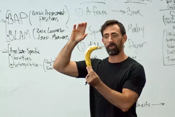 The Profound Effectiveness of Fundamental Movements in Fitness Training