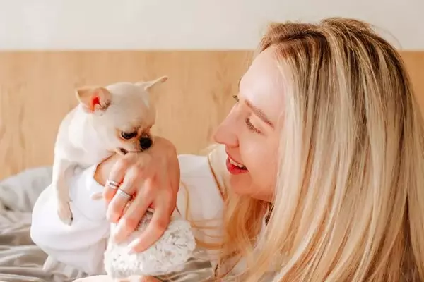 Understanding and Managing Your Dog's Nibbling Behavior