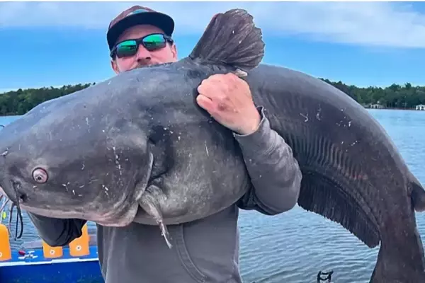 Angler's Astonishing Haul: Almost 300 Pounds of Catfish in Two Hours
