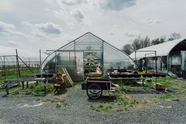 Korean Culinary Masters Establish "First Hand Farm" in Hudson Valley to Cultivate Traditional Ingredients