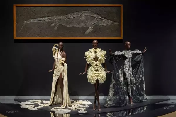 Iris van Herpen's "Sculpting the Senses" Exhibition: A Mid-Career Retrospective at the Brooklyn Museum