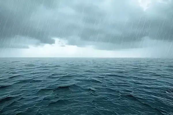 Mastering the Waters: How Environmental Factors Drive Fish Behavior